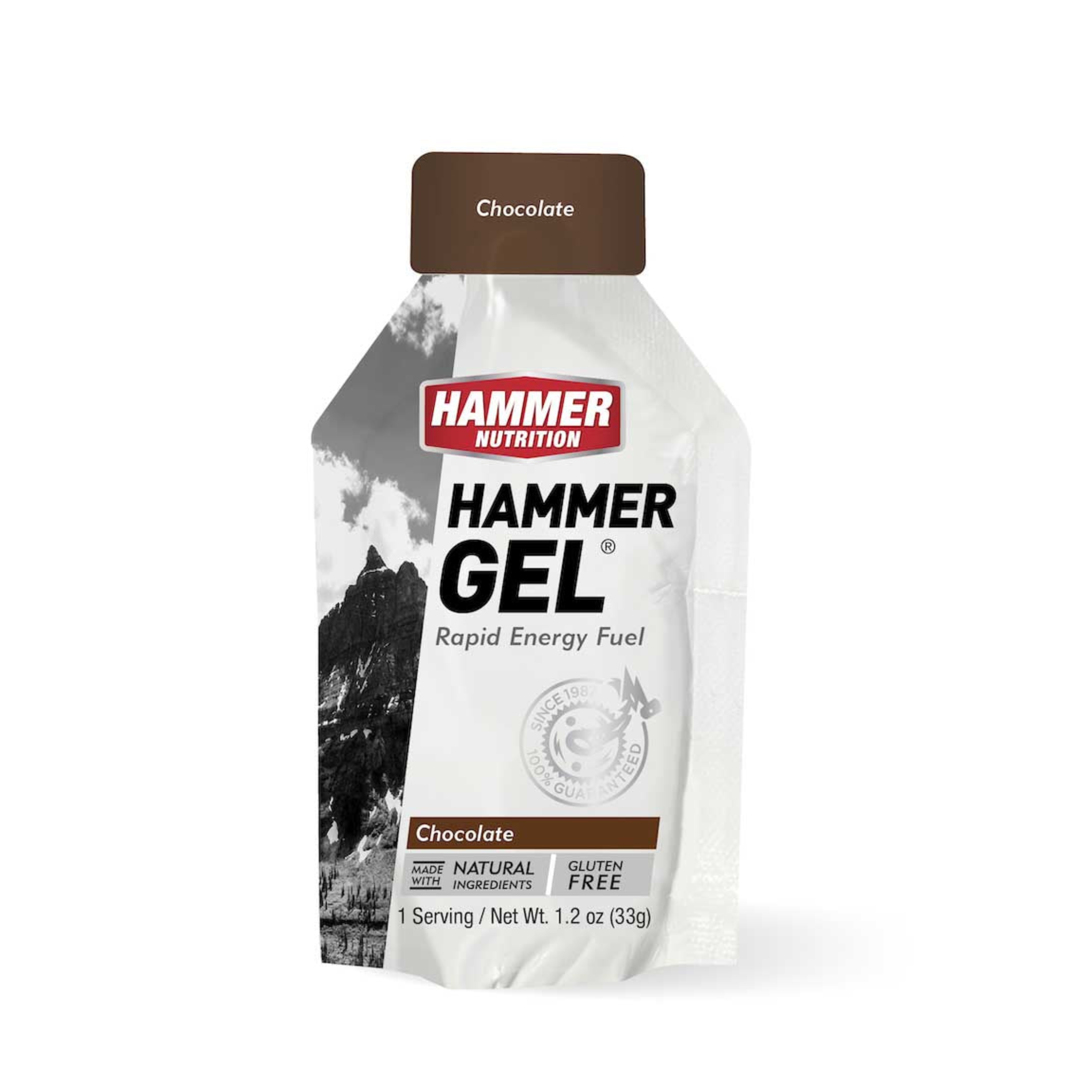 Hammer Nutrition Gel (Rapid Energy Fuel)