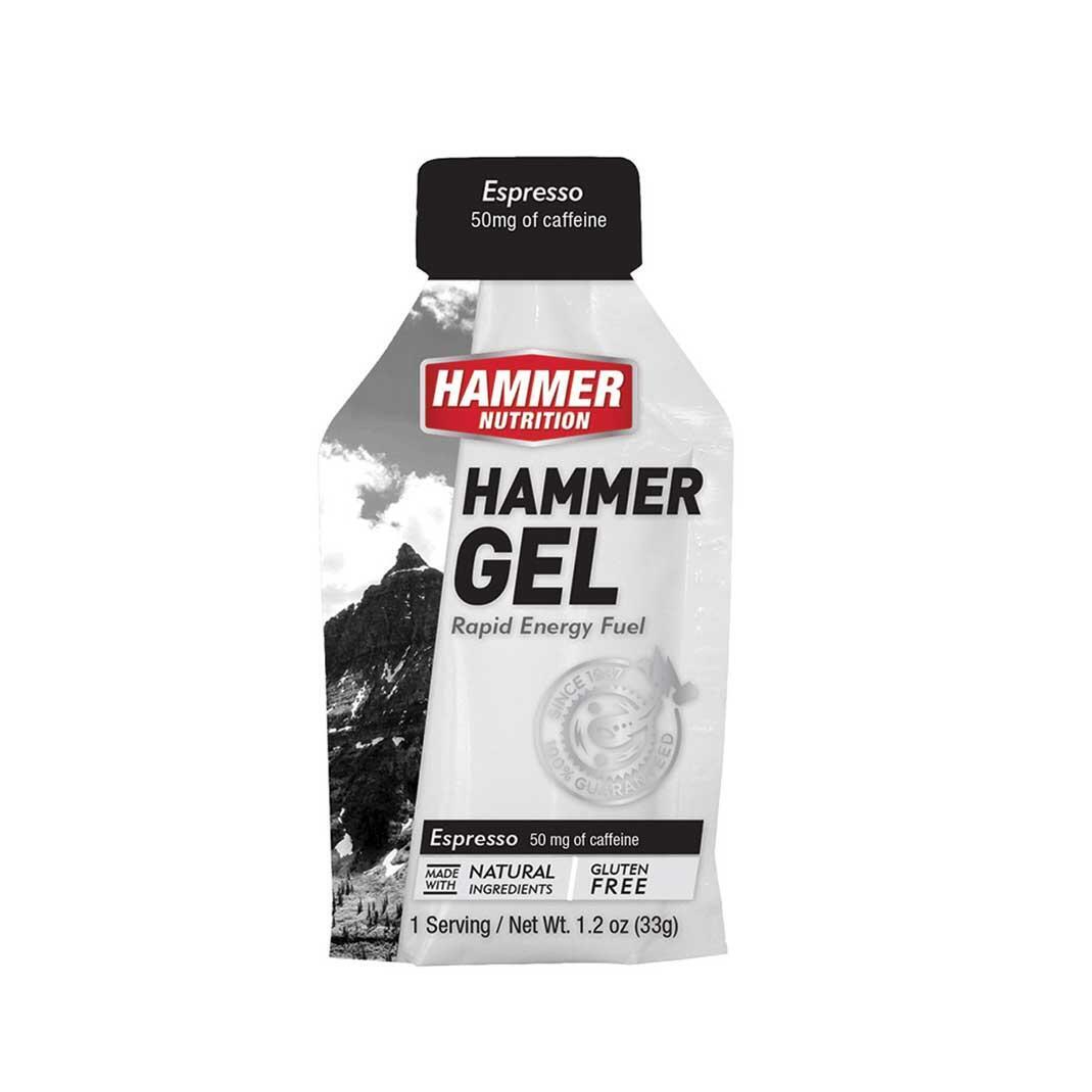 Hammer Nutrition Gel (Rapid Energy Fuel)