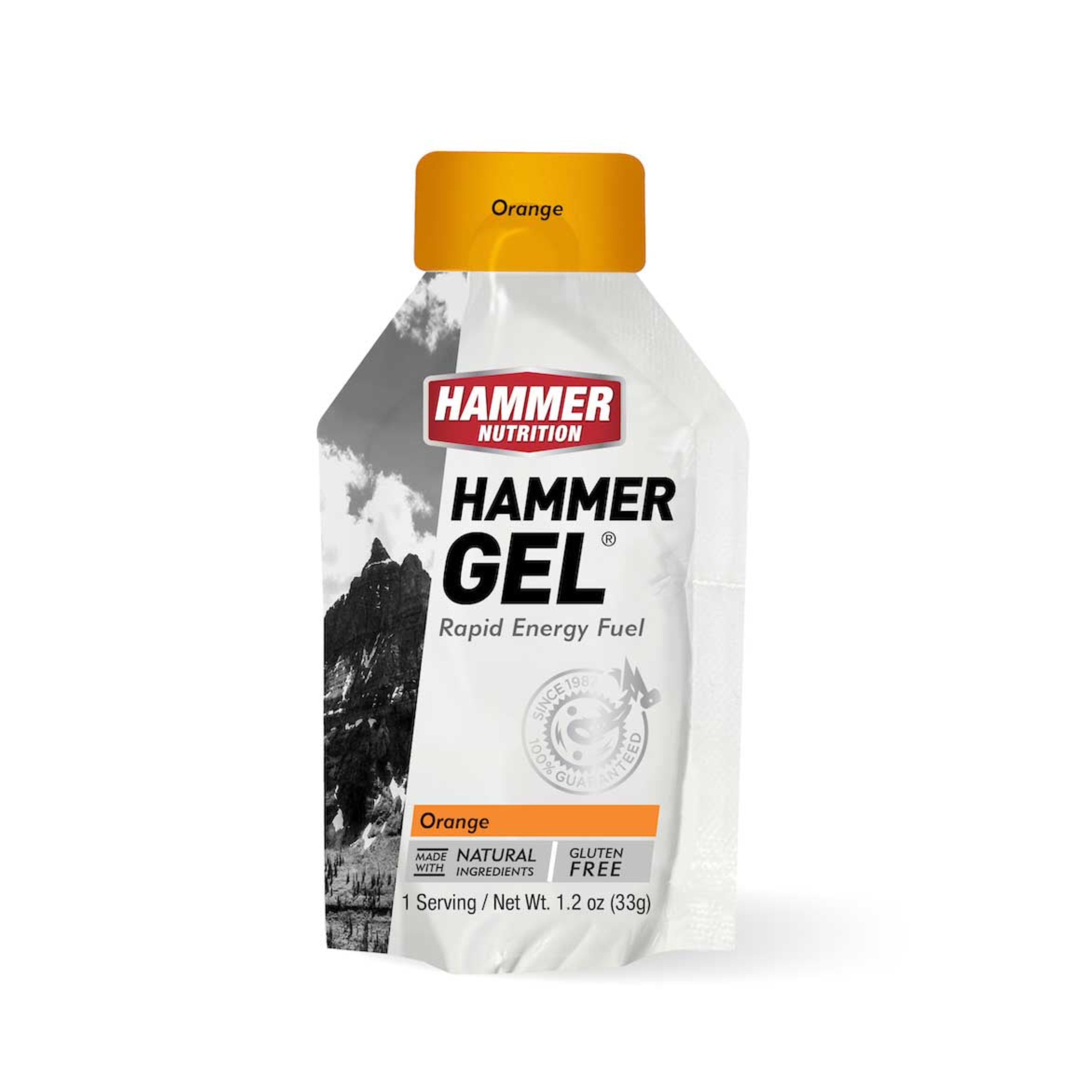 Hammer Nutrition Gel (Rapid Energy Fuel)