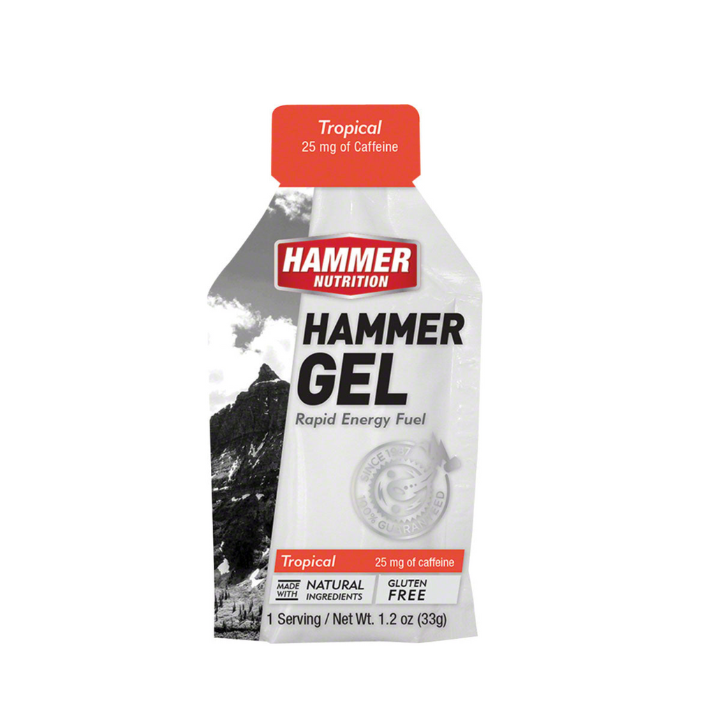 Hammer Nutrition Gel (Rapid Energy Fuel)