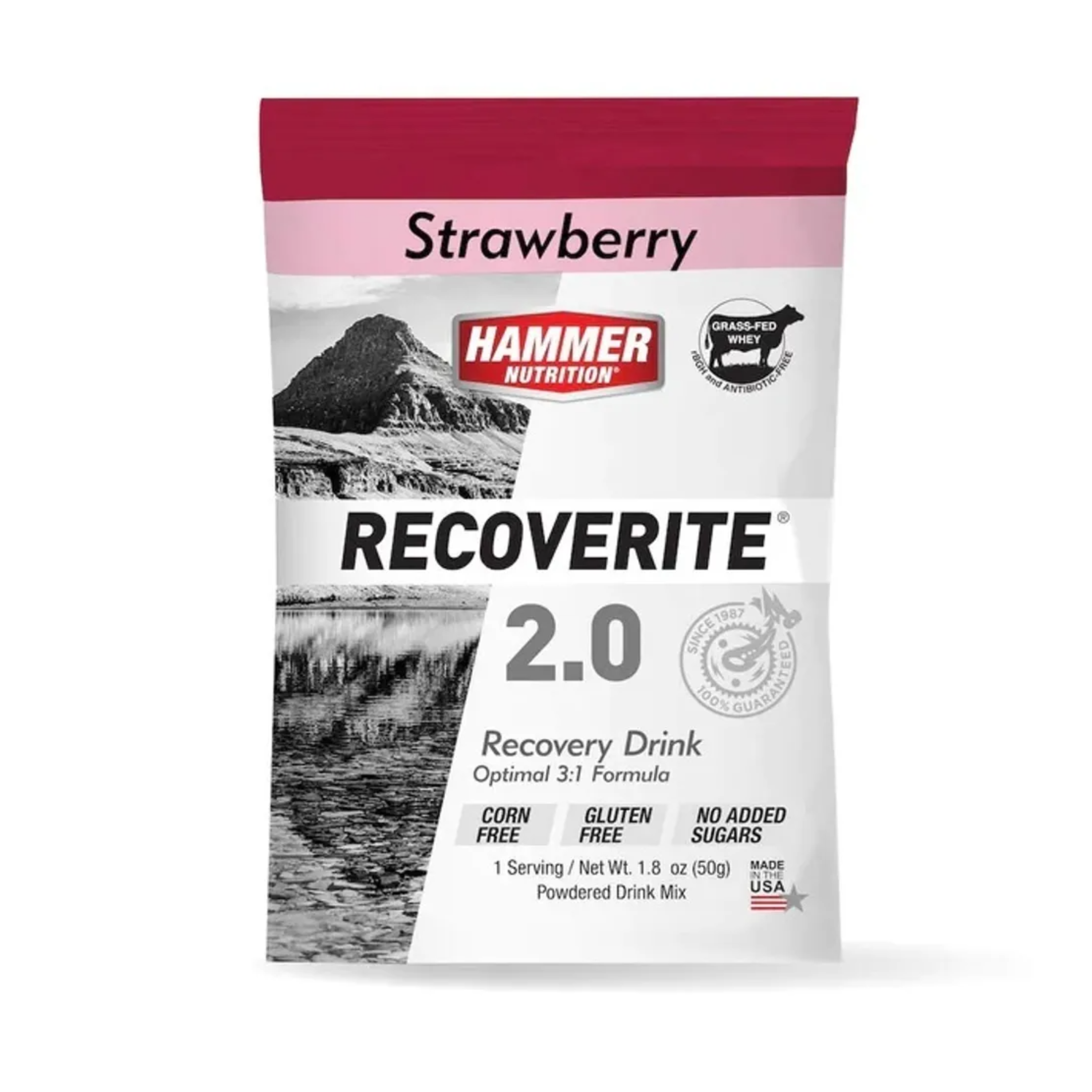 Hammer Nutrition Recoverite 2.0 (1 Servings)