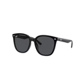 Ray-Ban RB4423D Sunglasses (601/8766)