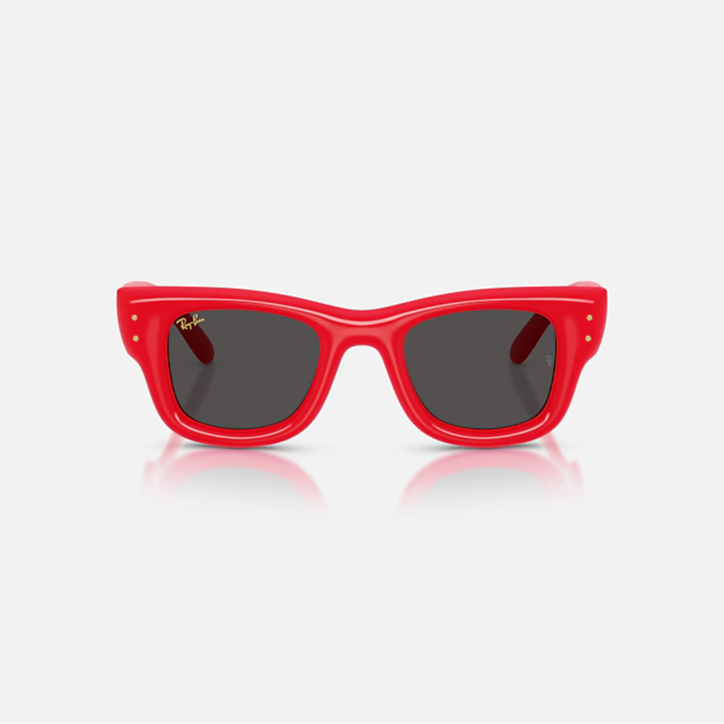 Ray-Ban RB4940 Wayfarer Puffer Sunglasses (683187)