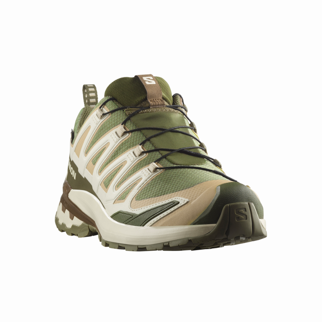 Salomon Men's XA Pro 3D V9 GTX Trail Running Shoes (L47820200)