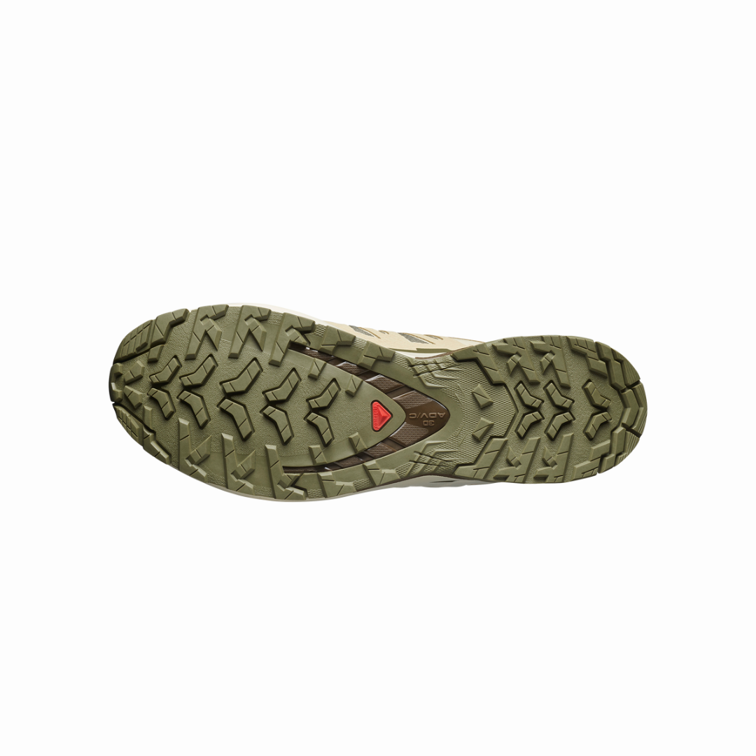 Salomon Men's XA Pro 3D V9 GTX Trail Running Shoes (L47820200)