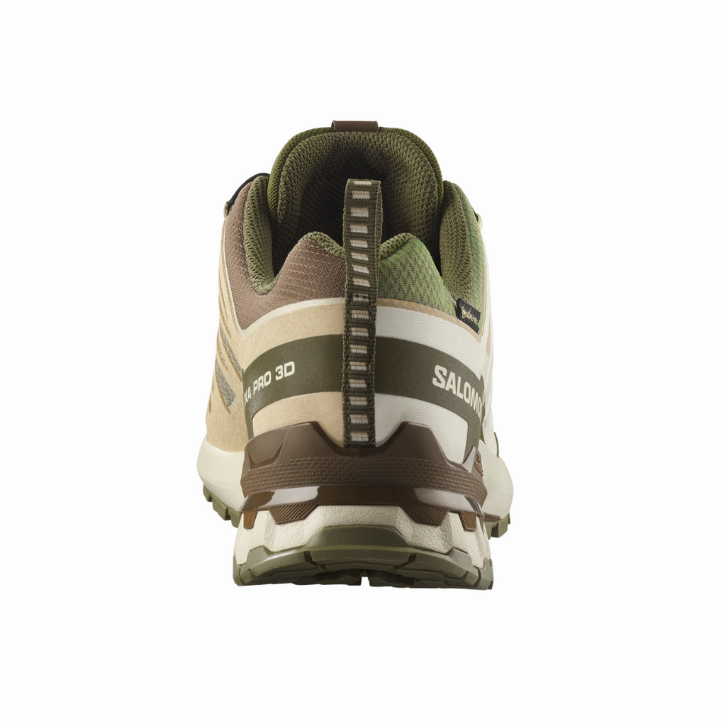 Salomon Men's XA Pro 3D V9 GTX Trail Running Shoes (L47820200)