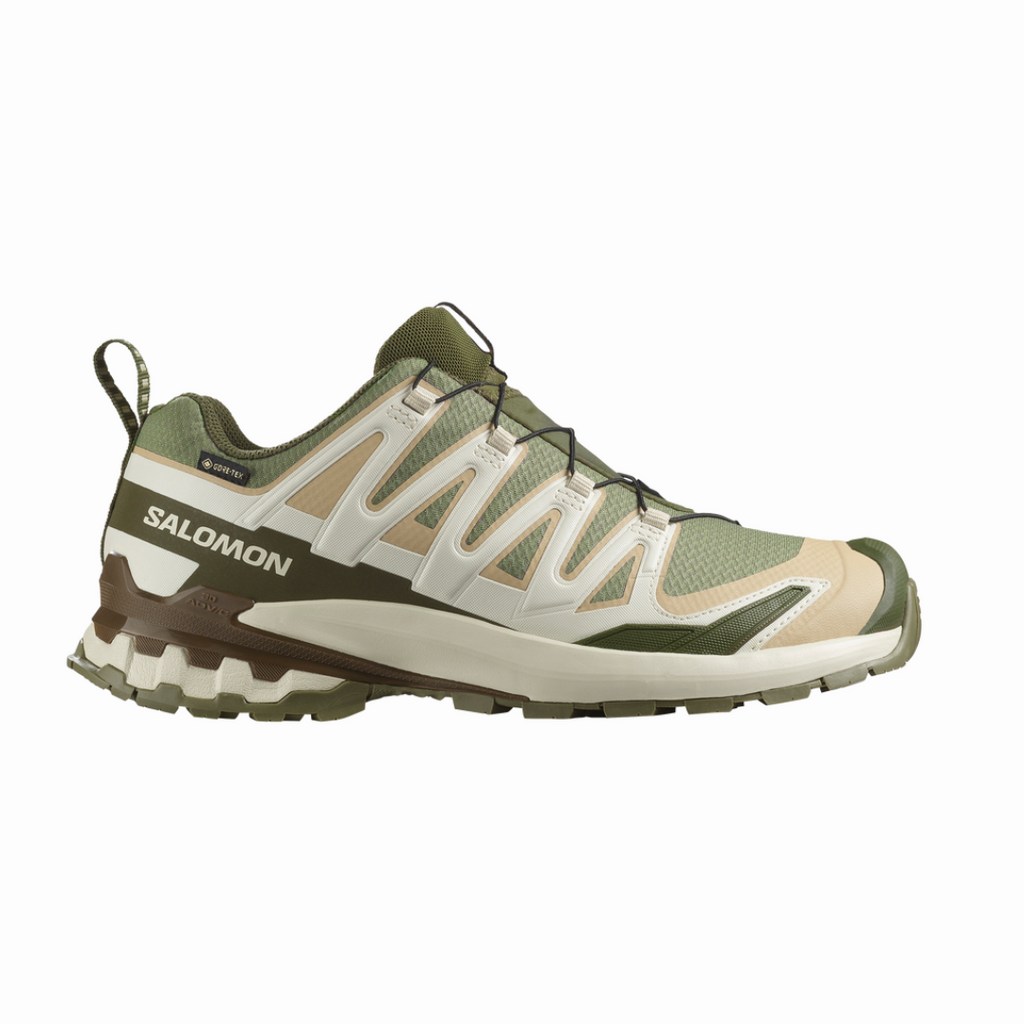 Salomon Men's XA Pro 3D V9 GTX Trail Running Shoes (L47820200)