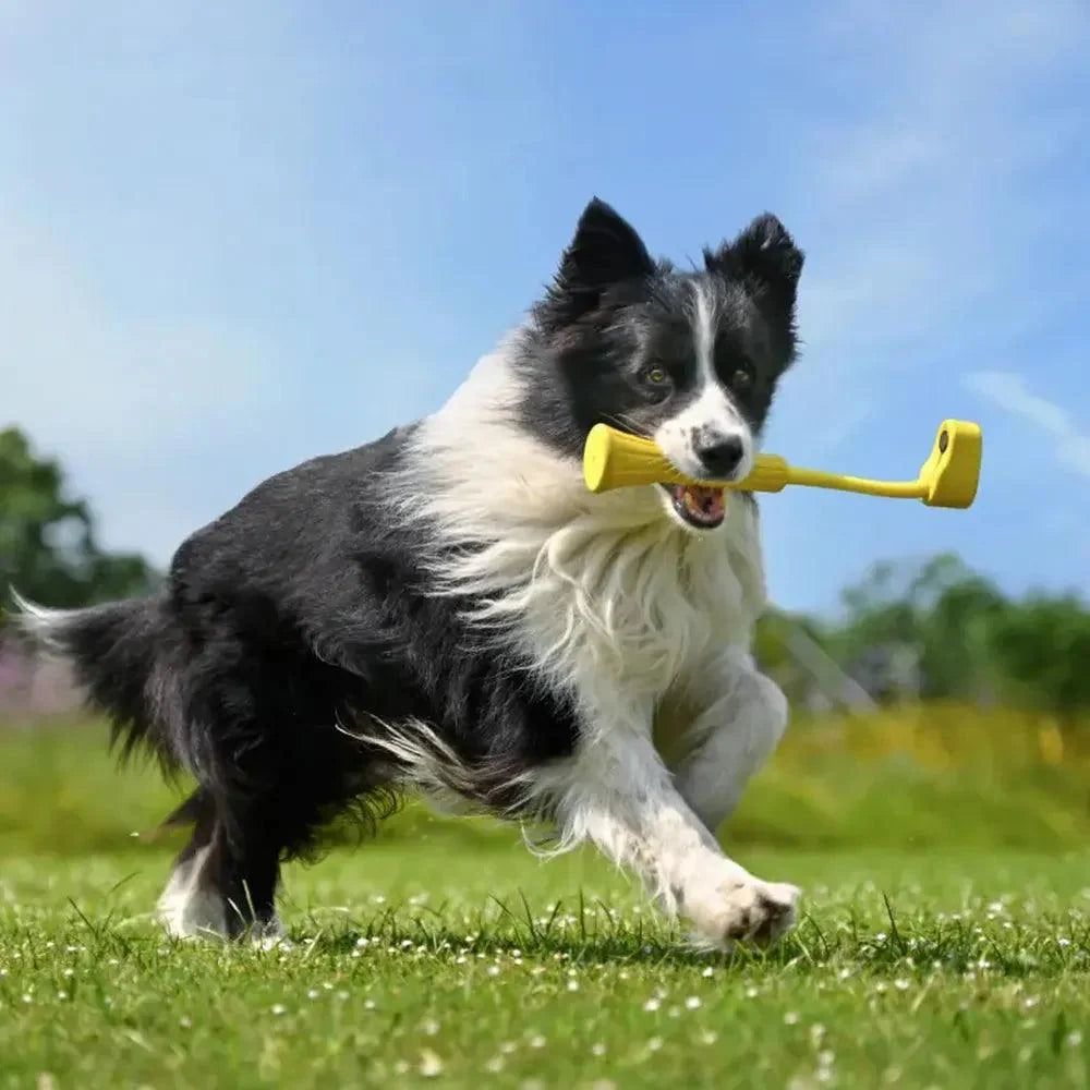 Insta360 Go3 ( Fetch Stick )