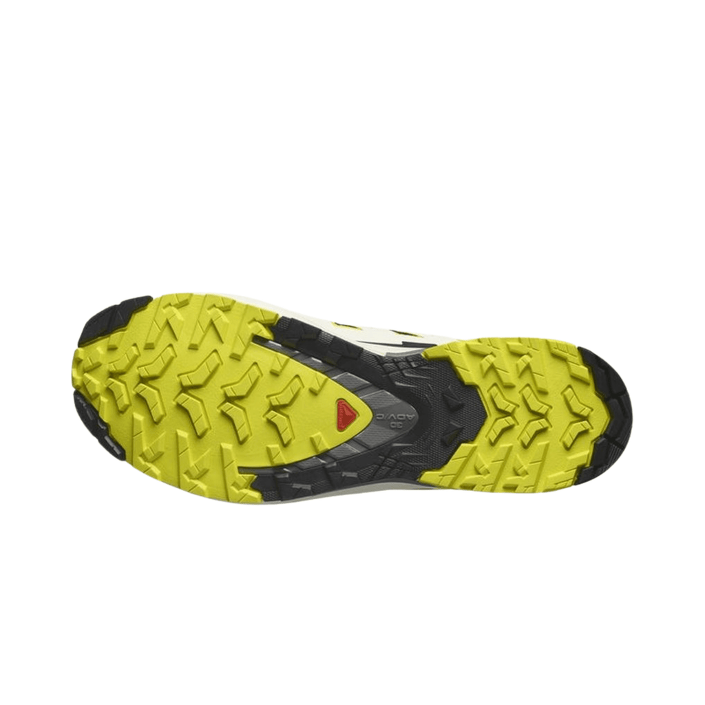 Salomon Men's XA Pro 3D V9 GTX Trail Running Shoes (L47468600)