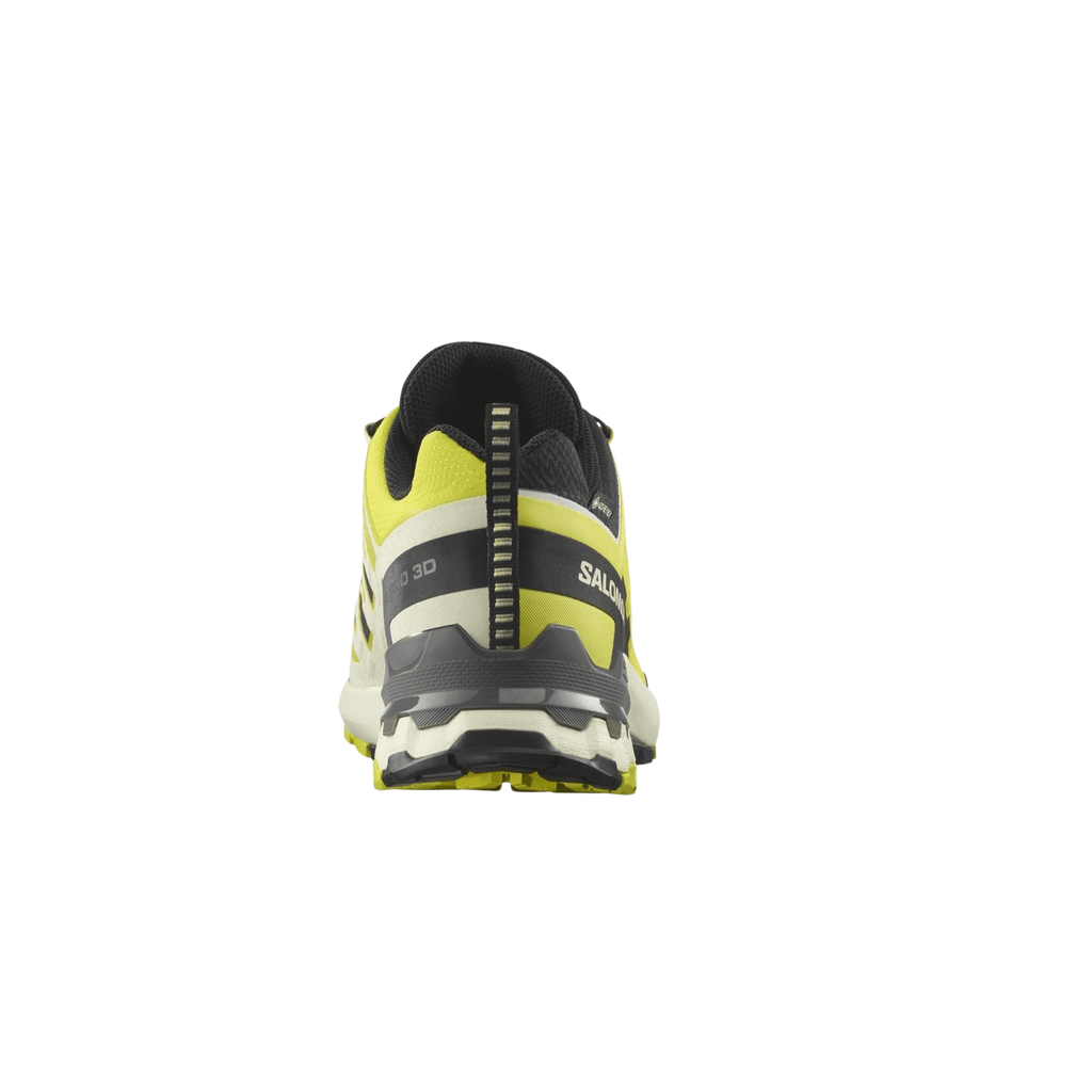 Salomon Men's XA Pro 3D V9 GTX Trail Running Shoes (L47468600)