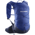 Salomon XT 15 Backpack (Surf The Web/Black Iris)