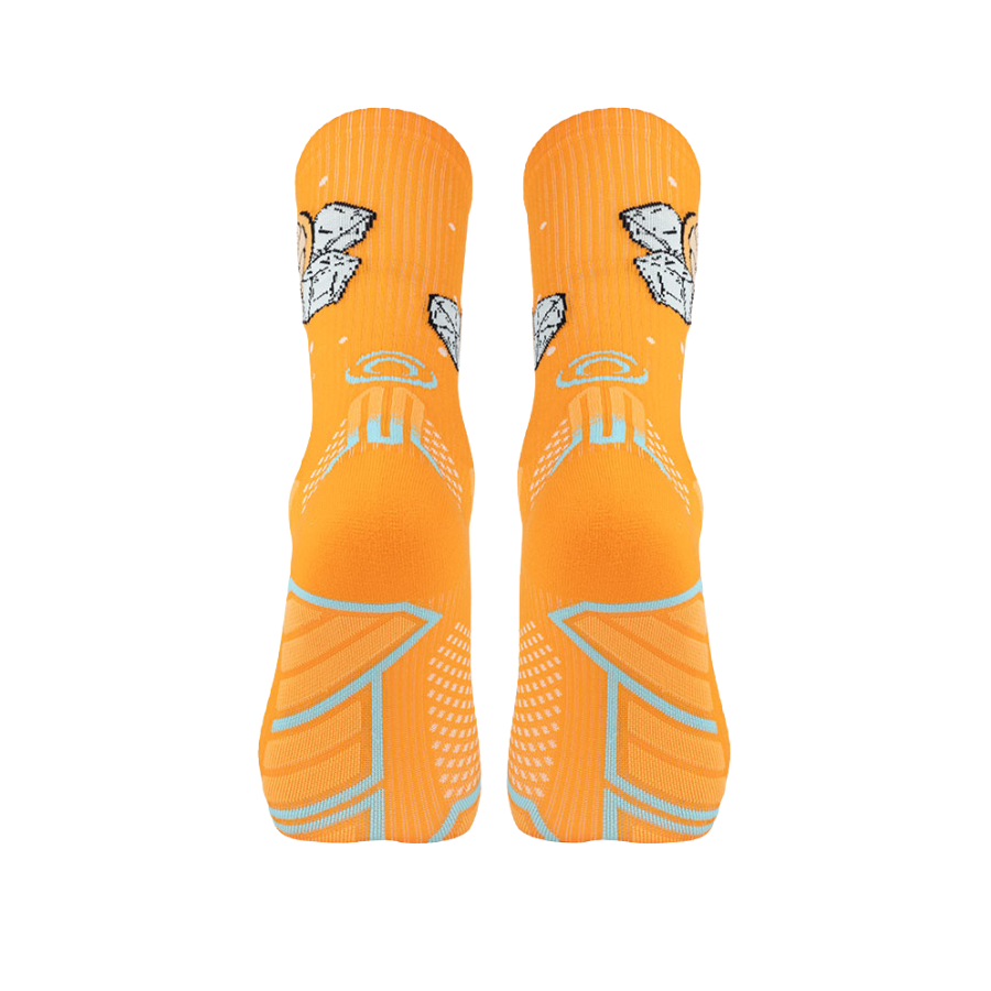 BV Sport Trail Ultra.2 Collector NUTRI Socks