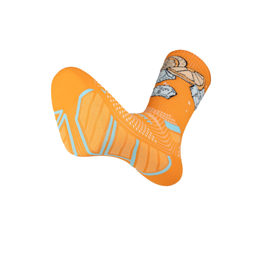 BV Sport Trail Ultra.2 Collector NUTRI Socks